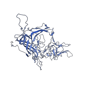 21011_6v1g_J_v1-3
Genome-containing AAVrh.10