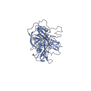 21011_6v1g_K_v1-3
Genome-containing AAVrh.10