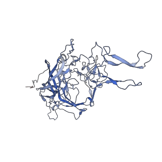 21011_6v1g_M_v1-3
Genome-containing AAVrh.10