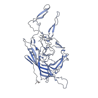 21011_6v1g_N_v1-3
Genome-containing AAVrh.10