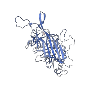 21011_6v1g_O_v1-3
Genome-containing AAVrh.10