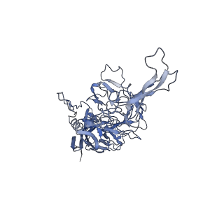 21011_6v1g_Q_v1-2
Genome-containing AAVrh.10