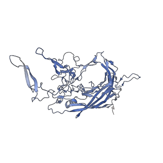 21011_6v1g_S_v1-3
Genome-containing AAVrh.10