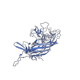 21011_6v1g_T_v1-3
Genome-containing AAVrh.10