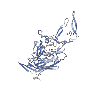 21011_6v1g_U_v1-3
Genome-containing AAVrh.10