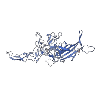 21011_6v1g_V_v1-3
Genome-containing AAVrh.10