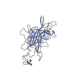 21011_6v1g_W_v1-3
Genome-containing AAVrh.10