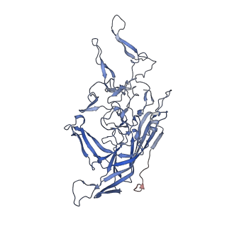 21011_6v1g_X_v1-2
Genome-containing AAVrh.10