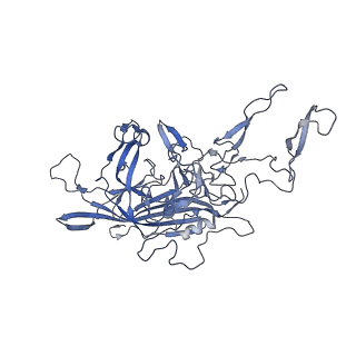 21011_6v1g_Y_v1-3
Genome-containing AAVrh.10