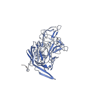 21011_6v1g_b_v1-2
Genome-containing AAVrh.10
