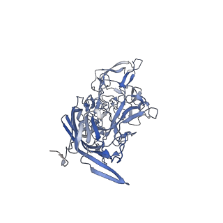 21011_6v1g_b_v1-3
Genome-containing AAVrh.10