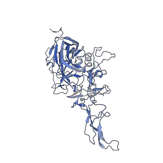 21011_6v1g_c_v1-2
Genome-containing AAVrh.10
