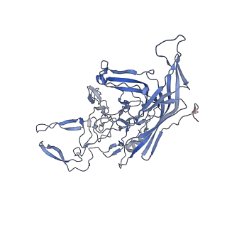 21011_6v1g_d_v1-3
Genome-containing AAVrh.10