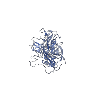 21011_6v1g_e_v1-3
Genome-containing AAVrh.10