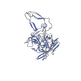 21011_6v1g_g_v1-3
Genome-containing AAVrh.10