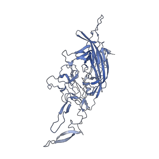 21011_6v1g_h_v1-3
Genome-containing AAVrh.10