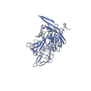 21011_6v1g_i_v1-3
Genome-containing AAVrh.10