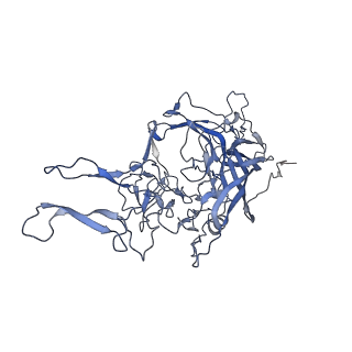 21011_6v1g_j_v1-3
Genome-containing AAVrh.10