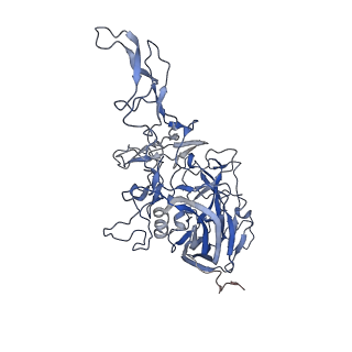 21011_6v1g_l_v1-3
Genome-containing AAVrh.10