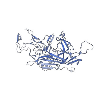 21011_6v1g_m_v1-3
Genome-containing AAVrh.10