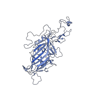 21011_6v1g_n_v1-2
Genome-containing AAVrh.10