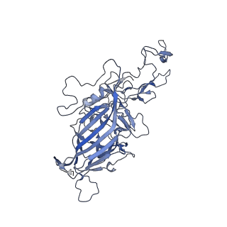 21011_6v1g_n_v1-3
Genome-containing AAVrh.10