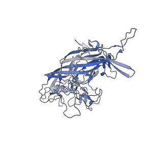 21011_6v1g_o_v1-3
Genome-containing AAVrh.10