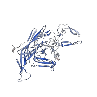 21011_6v1g_p_v1-3
Genome-containing AAVrh.10