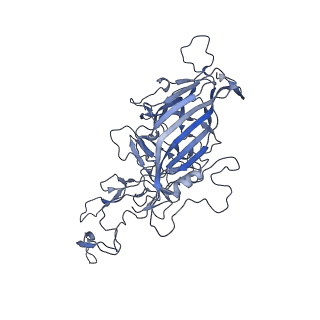 21011_6v1g_s_v1-2
Genome-containing AAVrh.10