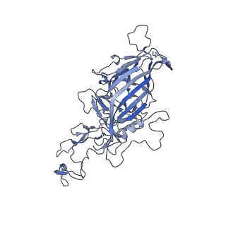 21011_6v1g_s_v1-3
Genome-containing AAVrh.10