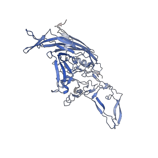 21011_6v1g_v_v1-3
Genome-containing AAVrh.10