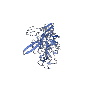 21011_6v1g_w_v1-3
Genome-containing AAVrh.10