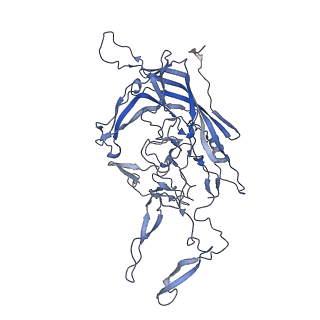 21011_6v1g_x_v1-2
Genome-containing AAVrh.10