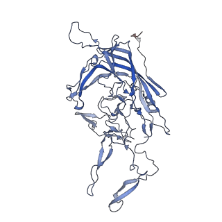 21011_6v1g_x_v1-3
Genome-containing AAVrh.10