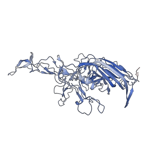 21011_6v1g_y_v1-3
Genome-containing AAVrh.10