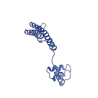 21012_6v1i_A_v1-2
Cryo-EM reconstruction of the thermophilic bacteriophage P74-26 small terminase- symmetric