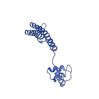 21012_6v1i_A_v1-3
Cryo-EM reconstruction of the thermophilic bacteriophage P74-26 small terminase- symmetric