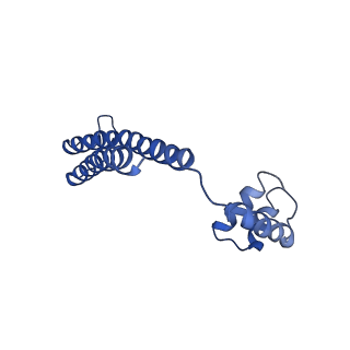 21012_6v1i_B_v1-2
Cryo-EM reconstruction of the thermophilic bacteriophage P74-26 small terminase- symmetric