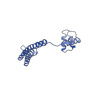 21012_6v1i_C_v1-2
Cryo-EM reconstruction of the thermophilic bacteriophage P74-26 small terminase- symmetric