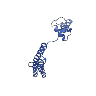 21012_6v1i_D_v1-2
Cryo-EM reconstruction of the thermophilic bacteriophage P74-26 small terminase- symmetric
