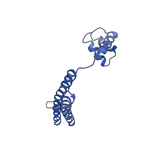 21012_6v1i_D_v1-3
Cryo-EM reconstruction of the thermophilic bacteriophage P74-26 small terminase- symmetric