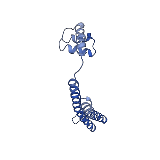 21012_6v1i_E_v1-2
Cryo-EM reconstruction of the thermophilic bacteriophage P74-26 small terminase- symmetric