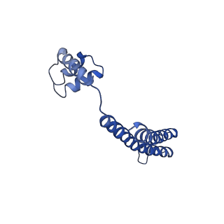 21012_6v1i_F_v1-2
Cryo-EM reconstruction of the thermophilic bacteriophage P74-26 small terminase- symmetric