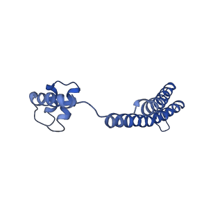 21012_6v1i_G_v1-2
Cryo-EM reconstruction of the thermophilic bacteriophage P74-26 small terminase- symmetric