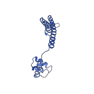 21012_6v1i_I_v1-2
Cryo-EM reconstruction of the thermophilic bacteriophage P74-26 small terminase- symmetric