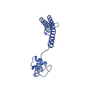 21012_6v1i_I_v1-3
Cryo-EM reconstruction of the thermophilic bacteriophage P74-26 small terminase- symmetric