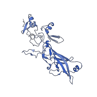 21016_6v1s_E_v1-1
Structure of the Clostridioides difficile transferase toxin