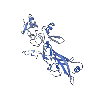 21016_6v1s_E_v1-2
Structure of the Clostridioides difficile transferase toxin