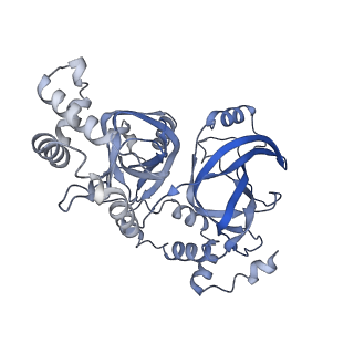 21016_6v1s_Z_v1-1
Structure of the Clostridioides difficile transferase toxin