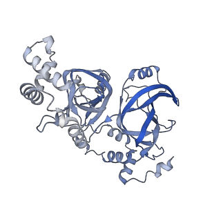 21016_6v1s_Z_v1-2
Structure of the Clostridioides difficile transferase toxin